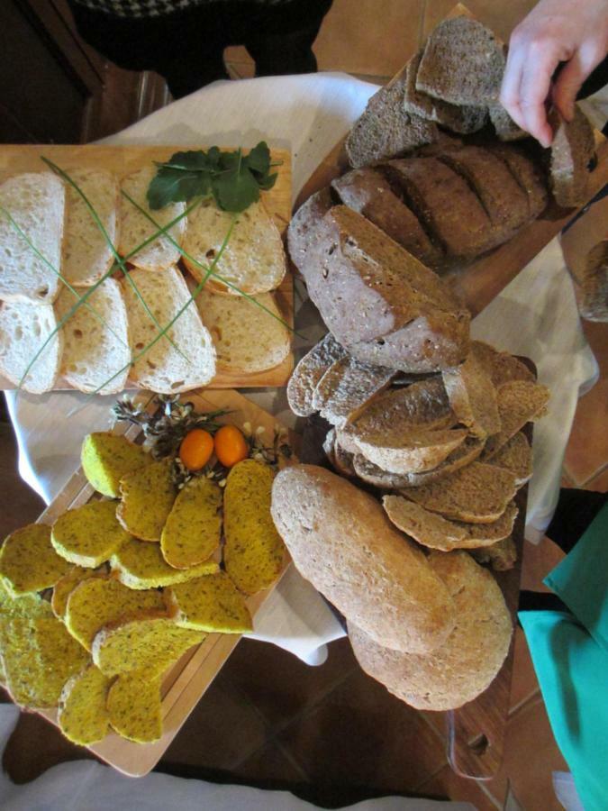 Agriturismo Il Felciaione ماسا ماريتيما المظهر الخارجي الصورة